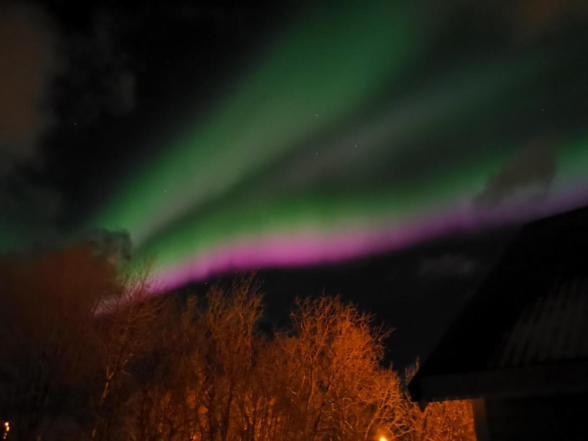Cozy Home Gravdal  Экстерьер фото